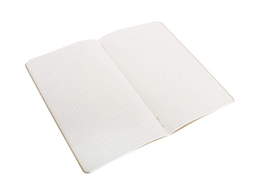 Записная книжка Moleskine Cahier (в клетку, 3 шт.), Large (13х21см), бежевый фото 2