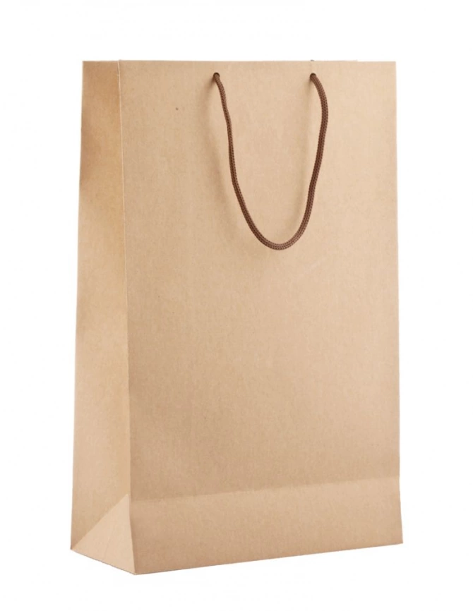 Пакет «Крафт», M, неокрашенный фото 1