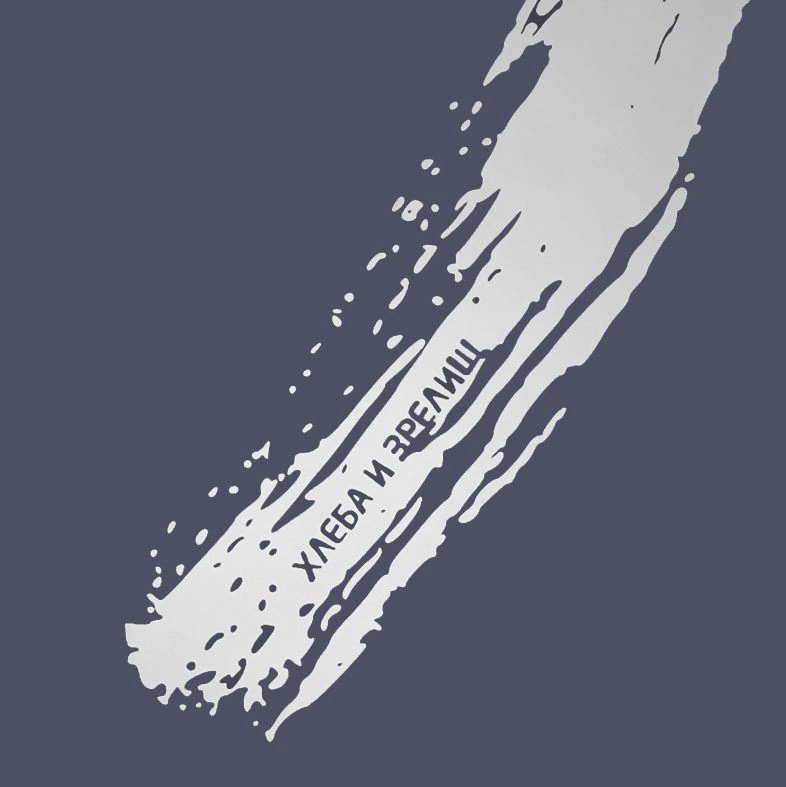 Дождевик «ХЗ», темно-синий с серебристым, размер L фото 4