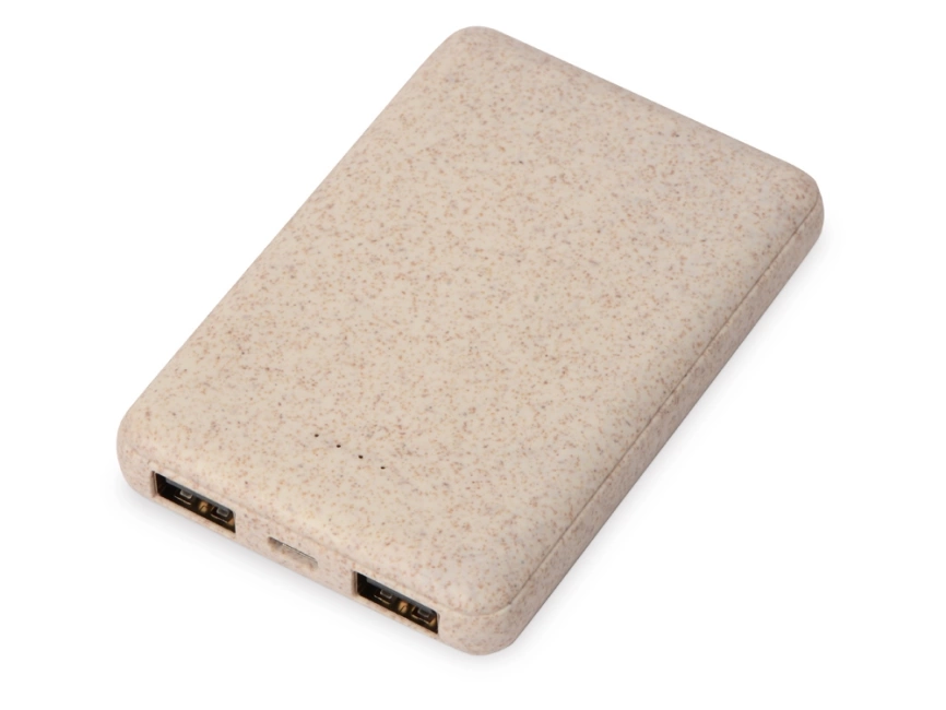 Портативное зарядное устройство Wheatty, 5000 mAh фото 1