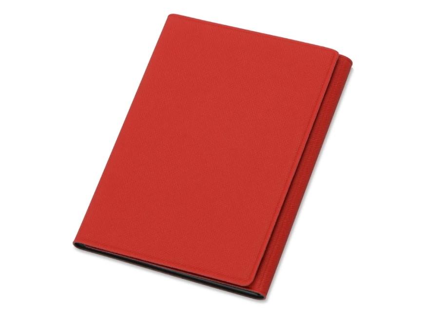 Обложка на магнитах для автодокументов и паспорта Favor, красная/серая фото 1