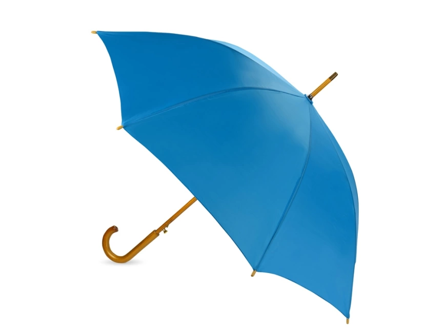 Зонт-трость Радуга, морская волна 2995C фото 2