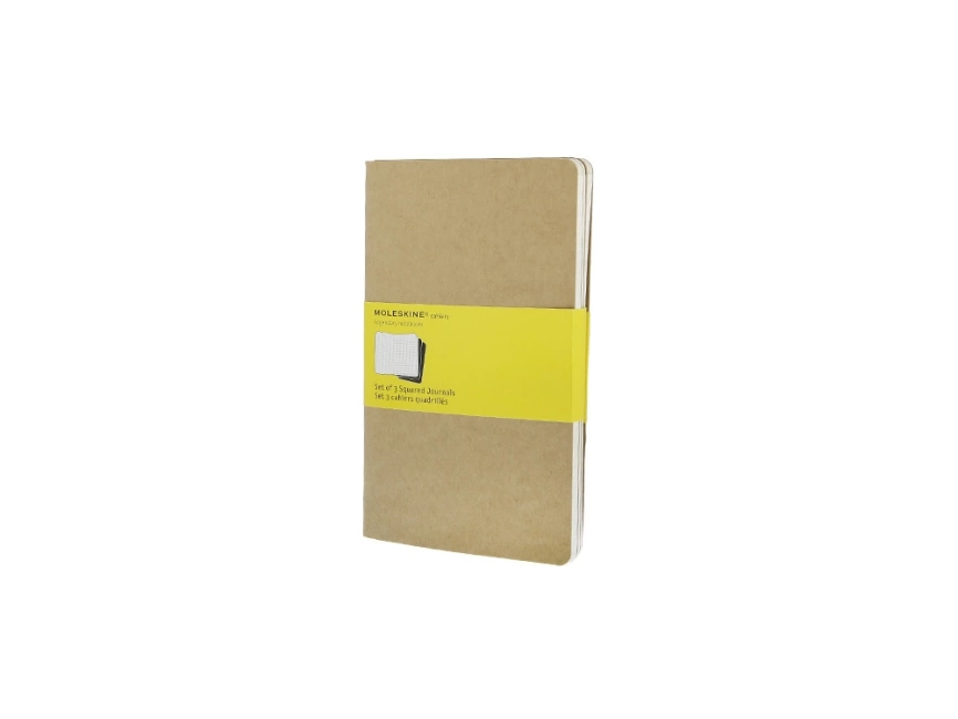 Записная книжка Moleskine Cahier (в клетку, 3 шт.), Large (13х21см), бежевый фото 1