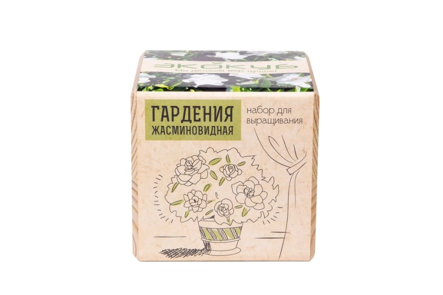 Набор для выращивания «Экокуб», гардения жасминовидная фото 2