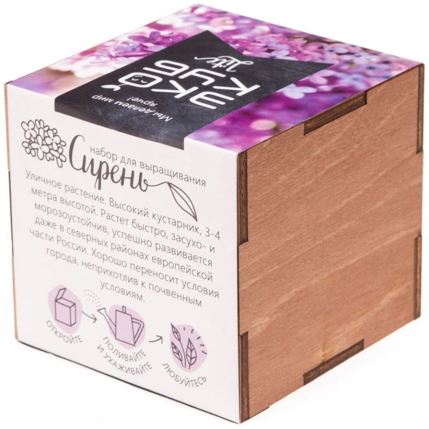 Набор для выращивания «Экокуб Lite», сирень фото 4