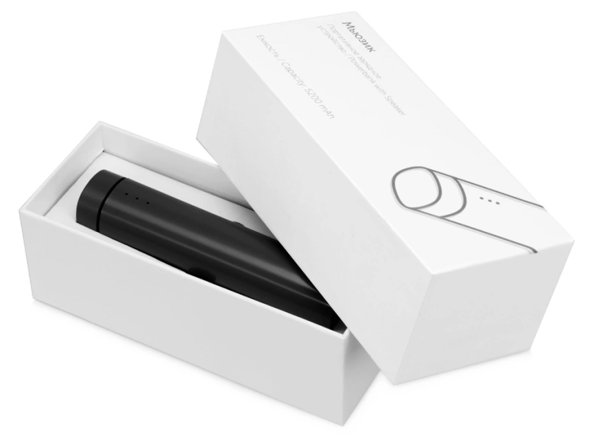 Портативное зарядное устройство Мьюзик, 5200 mAh, черный фото 9
