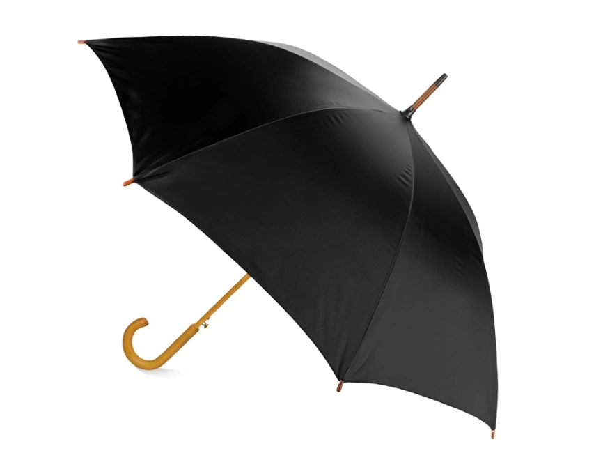Зонт-трость Радуга, черный фото 2