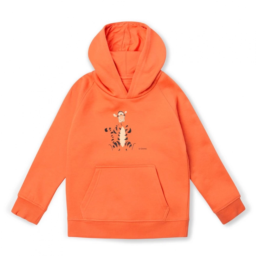 Худи детское Tigger, оранжевое, на рост 142-152 см (12 лет) фото 6