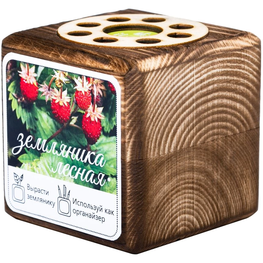 Набор для выращивания с органайзером «Экокуб Burn», земляника фото 1