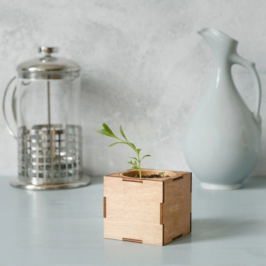 Набор для выращивания «Экокуб Lite», лаванда фото 2