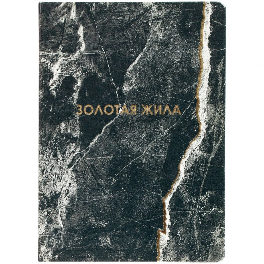 Ежедневник «Золотая Жила» фото 1