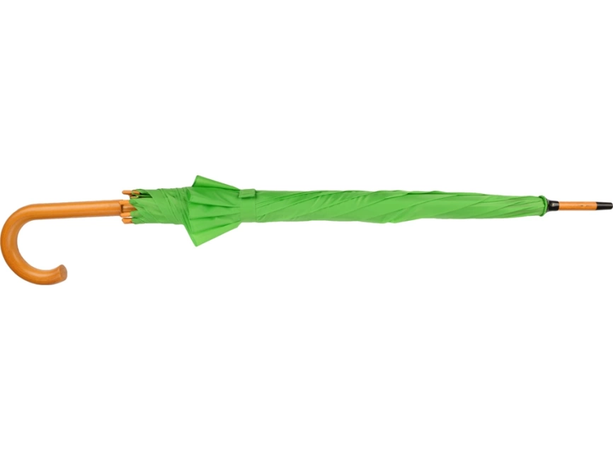 Зонт-трость Радуга, зеленое яблоко фото 6