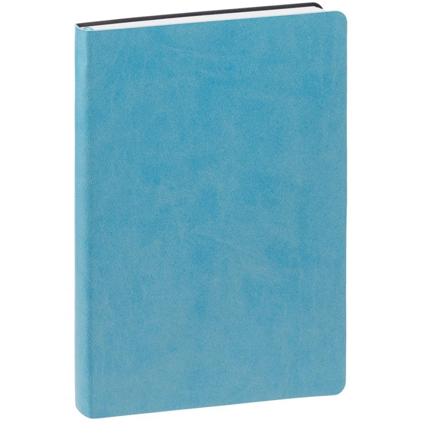 Ежедневник Romano, недатированный, голубой фото 2