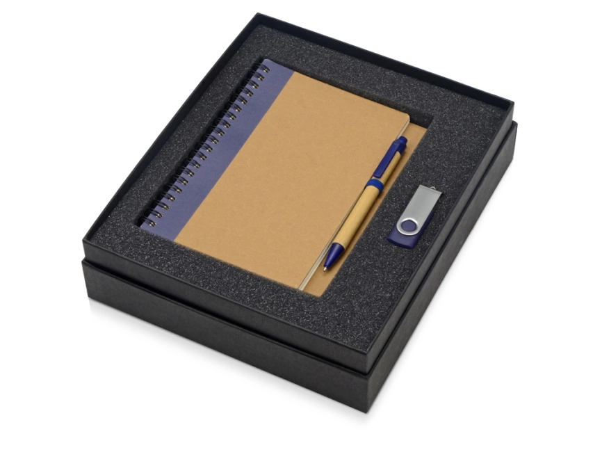 Подарочный набор Essentials с флешкой и блокнотом А5 с ручкой, синий фото 2
