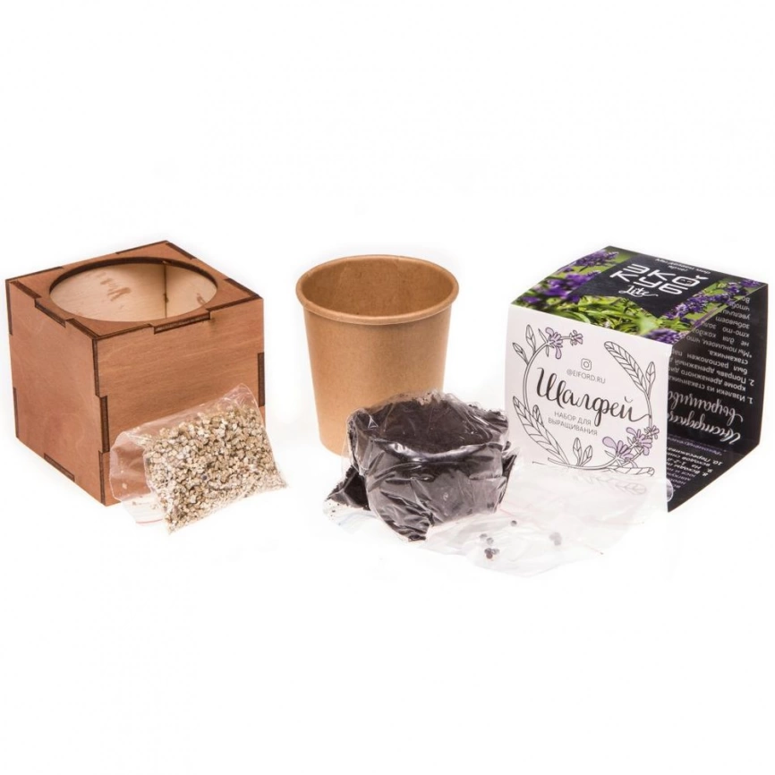 Набор для выращивания «Экокуб Lite», шалфей фото 4