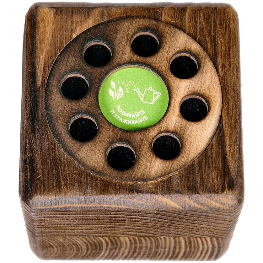 Набор для выращивания с органайзером «Экокуб Burn», ель голубая фото 4