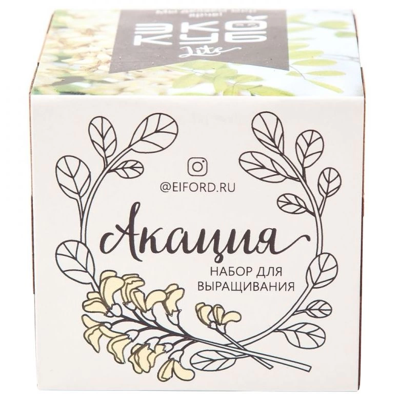 Набор для выращивания «Экокуб Lite», акация фото 2