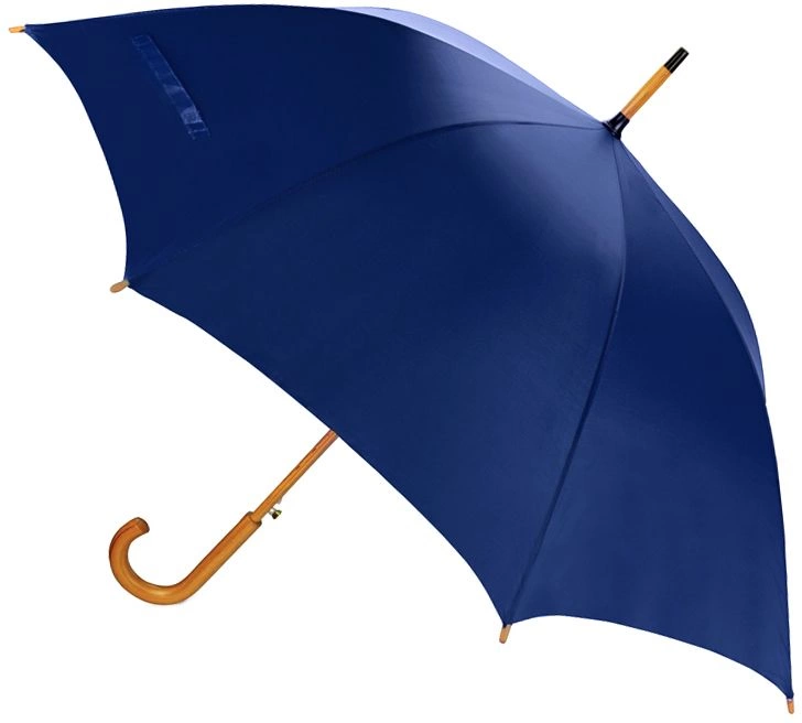 Зонт-трость Arwood - Синий HH фото 2