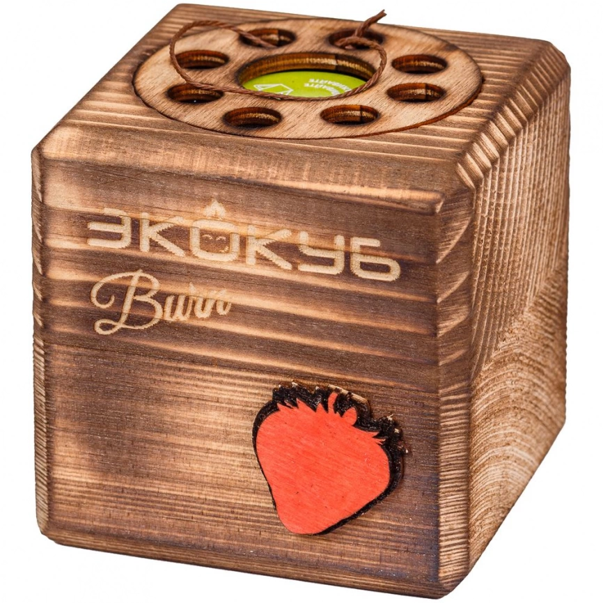 Набор для выращивания с органайзером «Экокуб Burn», земляника фото 8