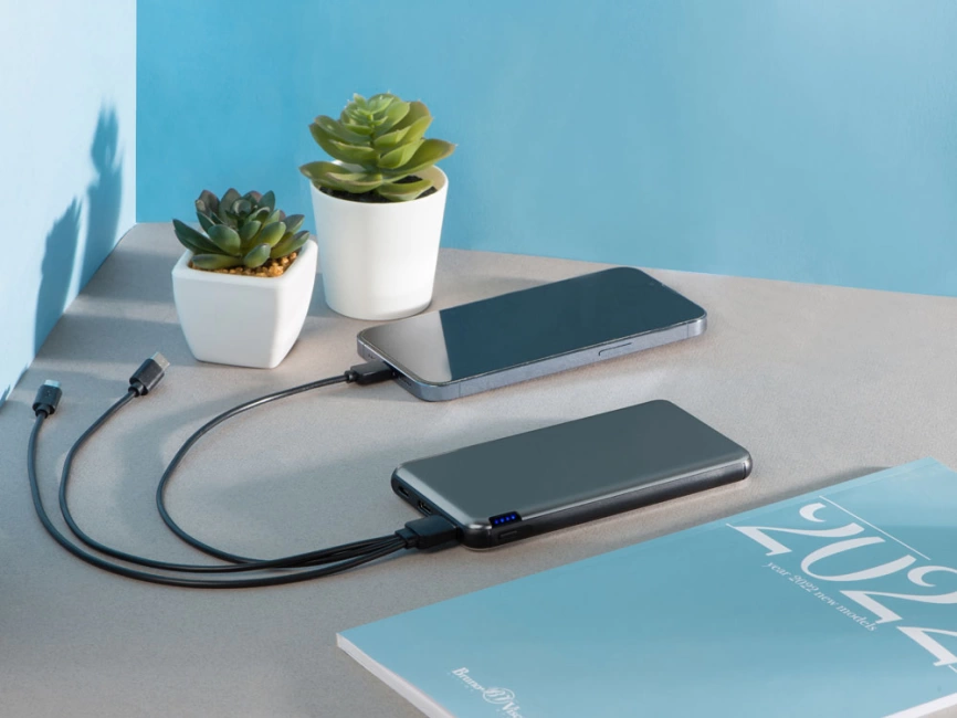 Внешний аккумулятор Forge, Evolt, металл, 10000mah, серебристый фото 10