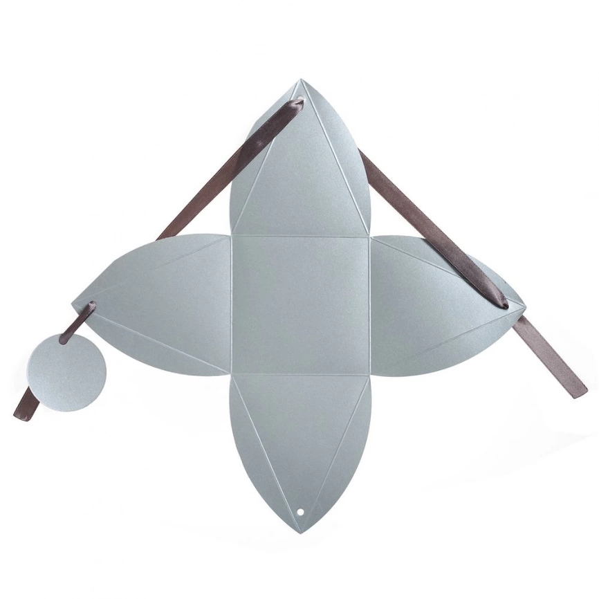 Упаковка Cleo, серебристая фото 2