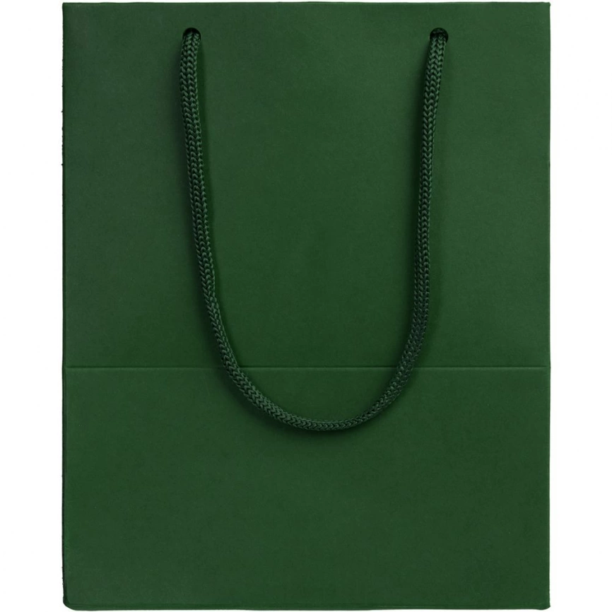 Пакет Ample S, зеленый фото 2