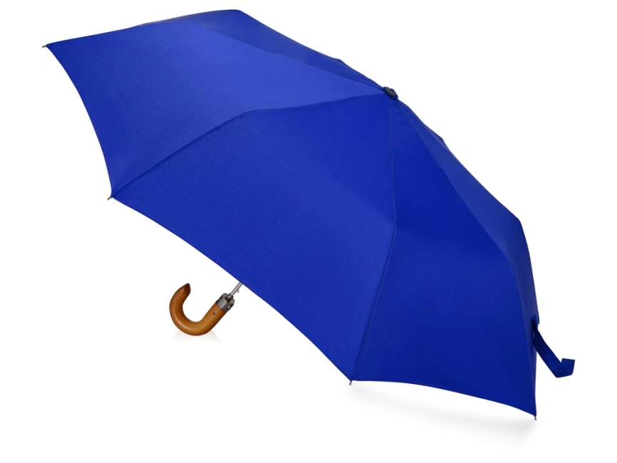 Зонт складной Cary, полуавтоматический, 3 сложения, с чехлом, темно-синий фото 2