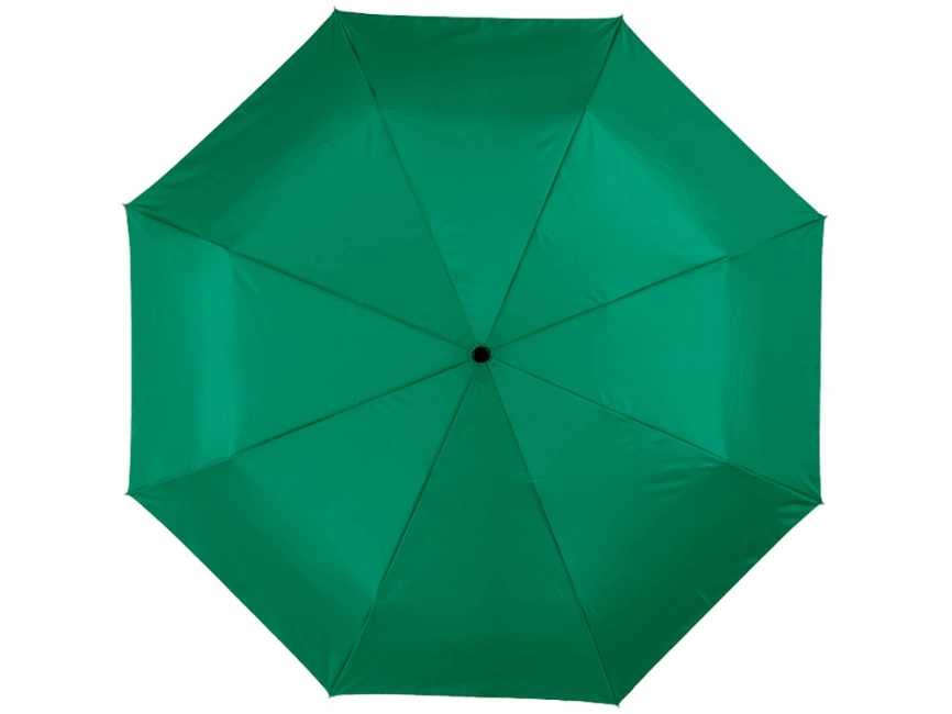 Зонт Alex трехсекционный автоматический 21,5, зеленый фото 2