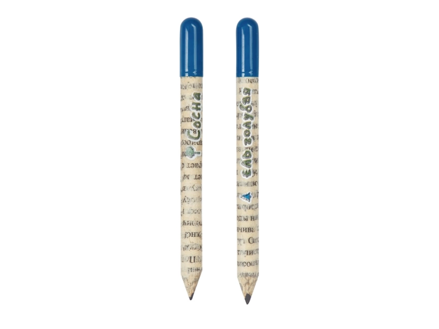 Набор растущих карандашей mini, 2 шт с семенами голубой ели и сосны фото 2