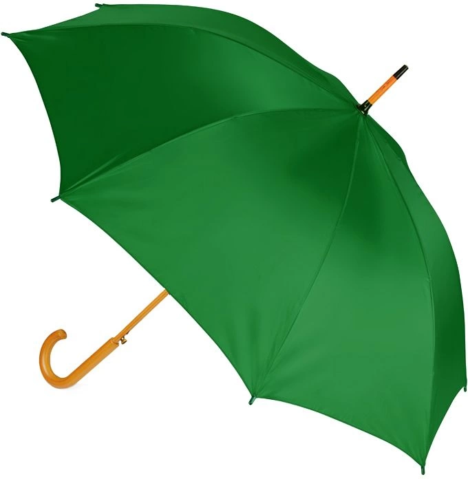 Зонт-трость Arwood - Зеленый FF фото 2