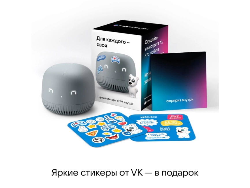 VK Капсула нео с голосовым помощником Марусей, серый фото 5