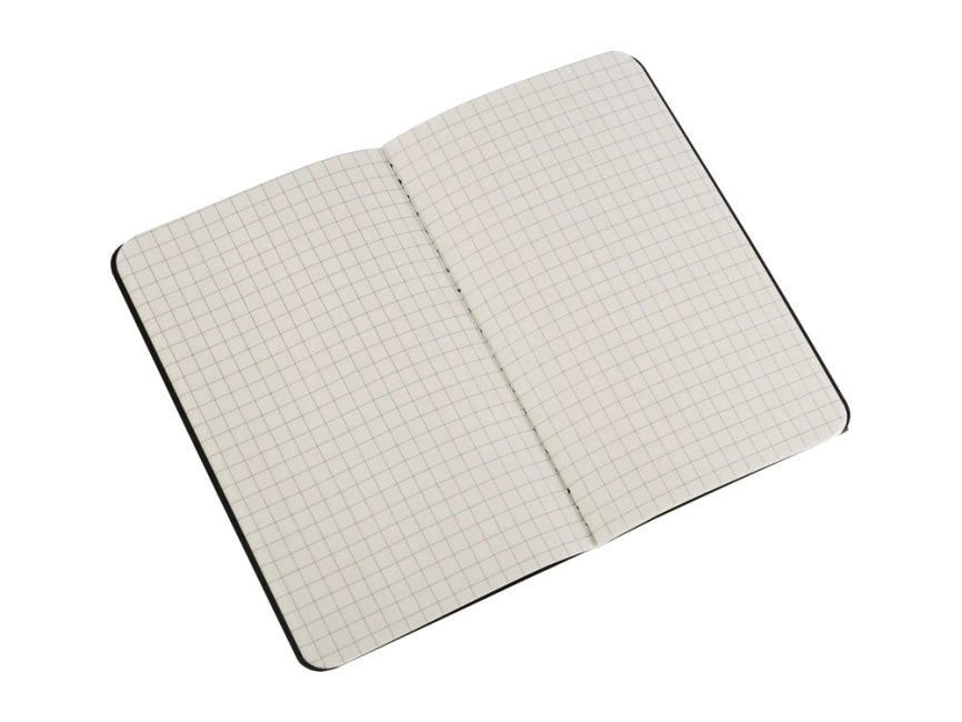 Записная книжка Moleskine Cahier (в клетку, 1 шт.), Large (13х21см), черный фото 2