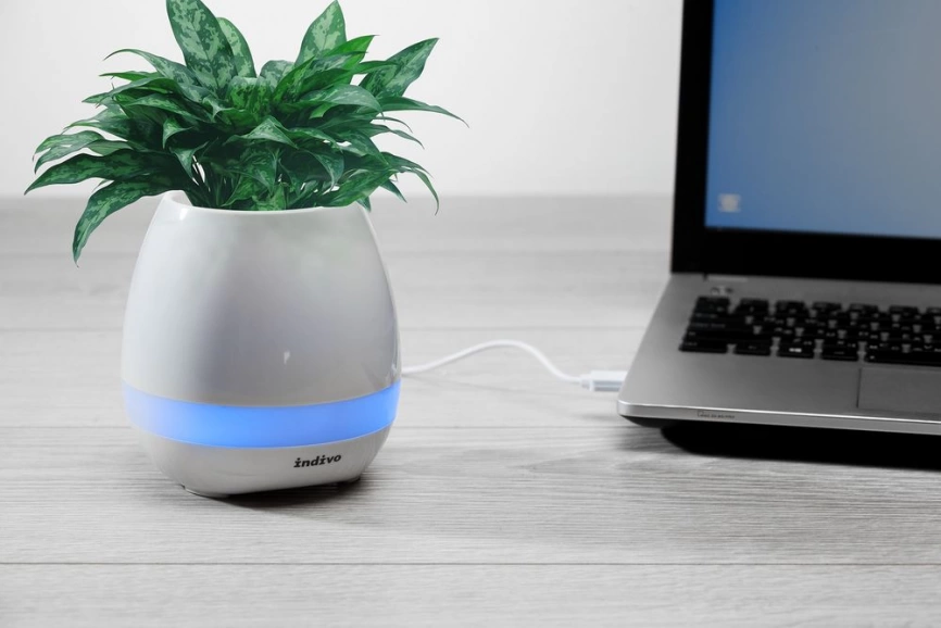 Беспроводная колонка melodyPot, белая фото 6