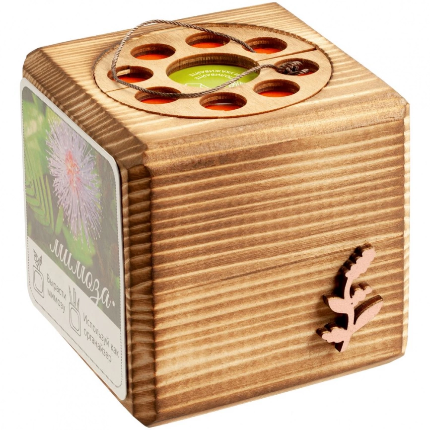 Набор для выращивания с органайзером «Экокуб Burn», мимоза фото 11