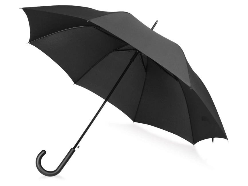 Зонт-трость Wind, полуавтомат, черный фото 1