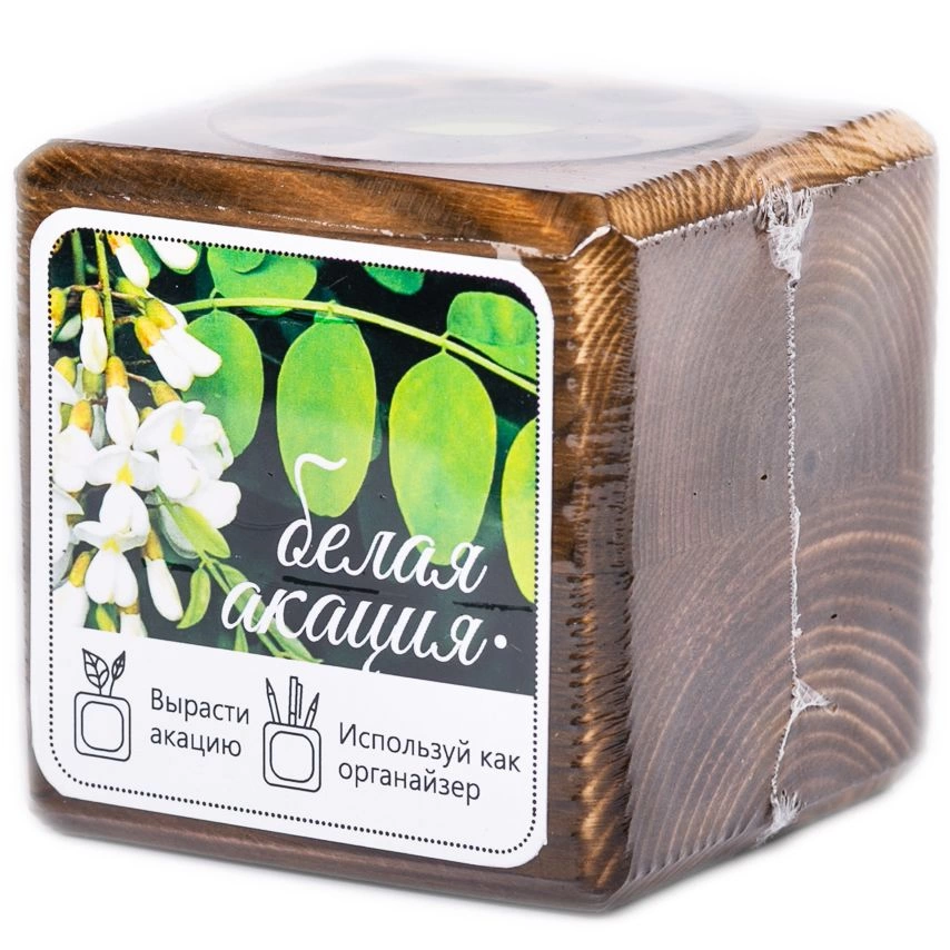 Набор для выращивания с органайзером «Экокуб Burn», акация фото 5
