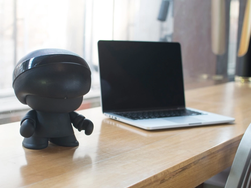 Портативная колонка XOOPAR Grand XBOY, черный фото 10