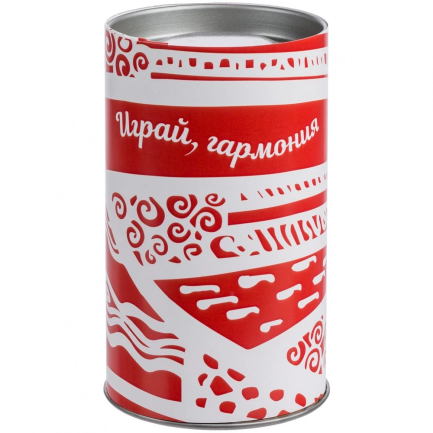 Набор «Играй, гармония», красный фото 7
