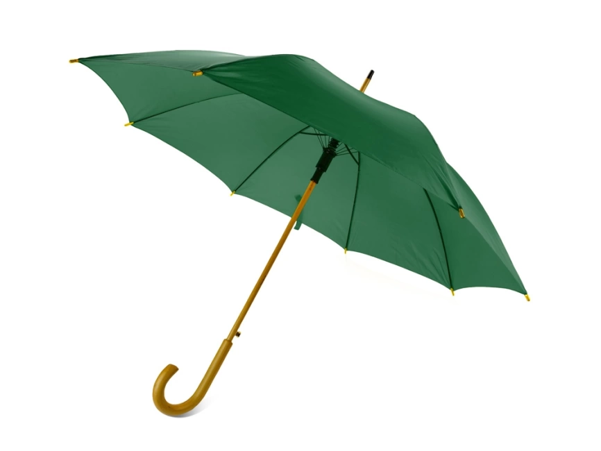 Зонт-трость Радуга, зеленый фото 1