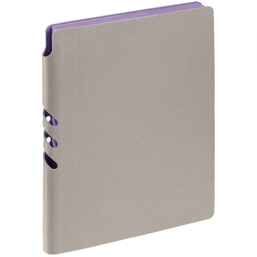Ежедневник Flexpen, недатированный, серебристо-фиолетовый фото 1