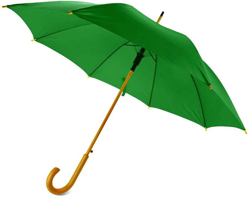 Зонт-трость Arwood - Зеленый FF фото 1