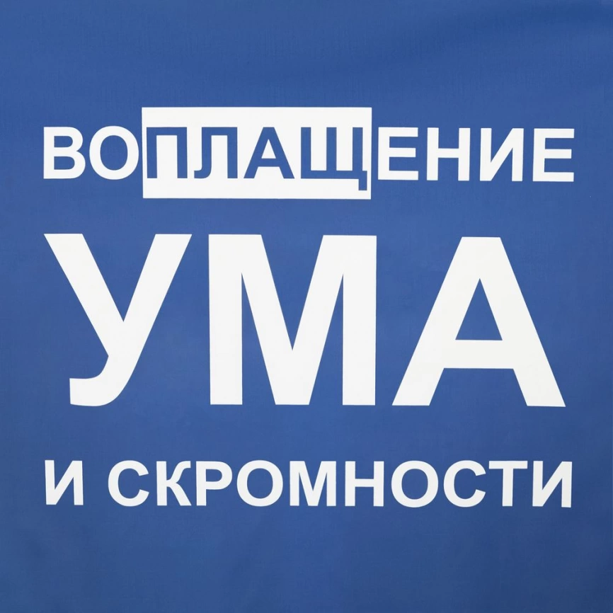 Дождевик «Воплащение ума», ярко-синий, размер L фото 3