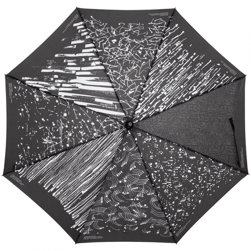 Зонт-трость Types Of Rain фото 1