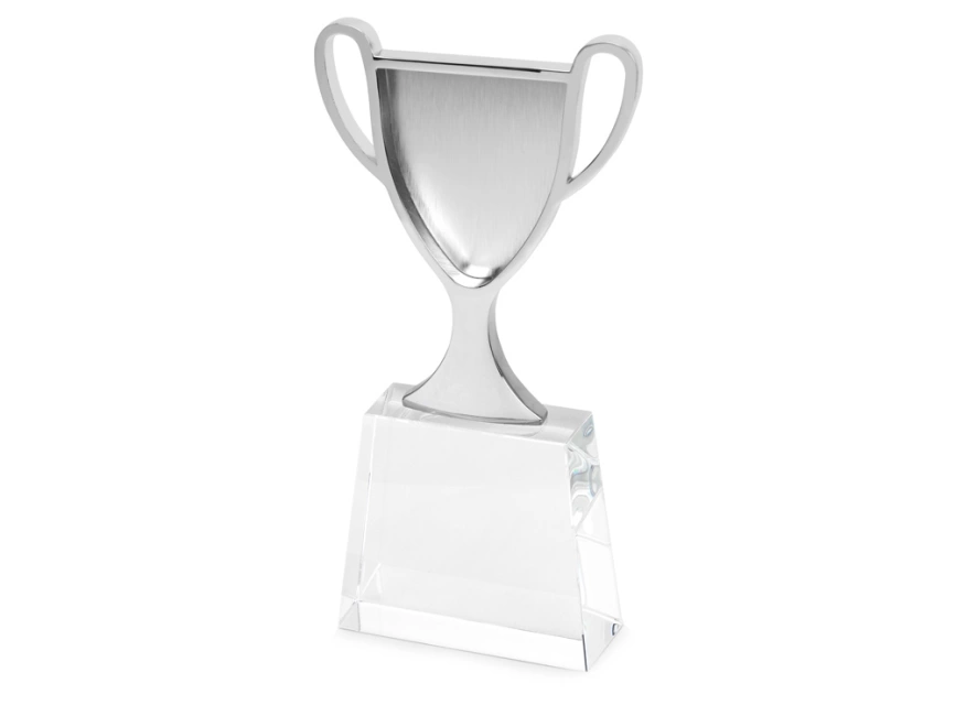 Кубок Champion, хрусталь, металл, в подарочной упаковке фото 1