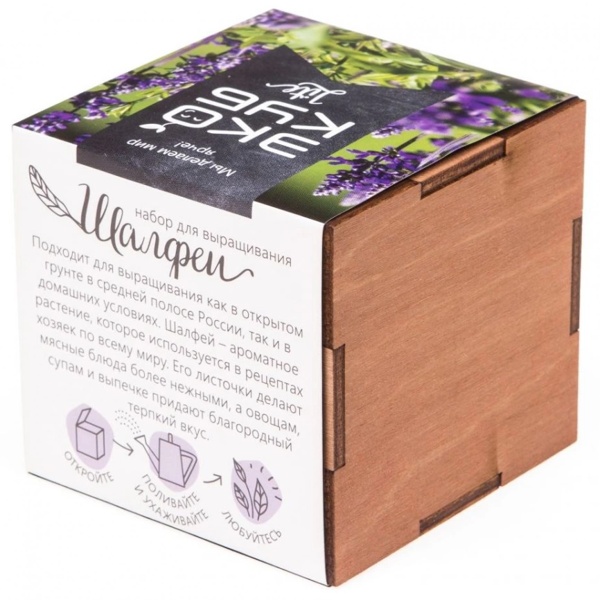 Набор для выращивания «Экокуб Lite», шалфей фото 3
