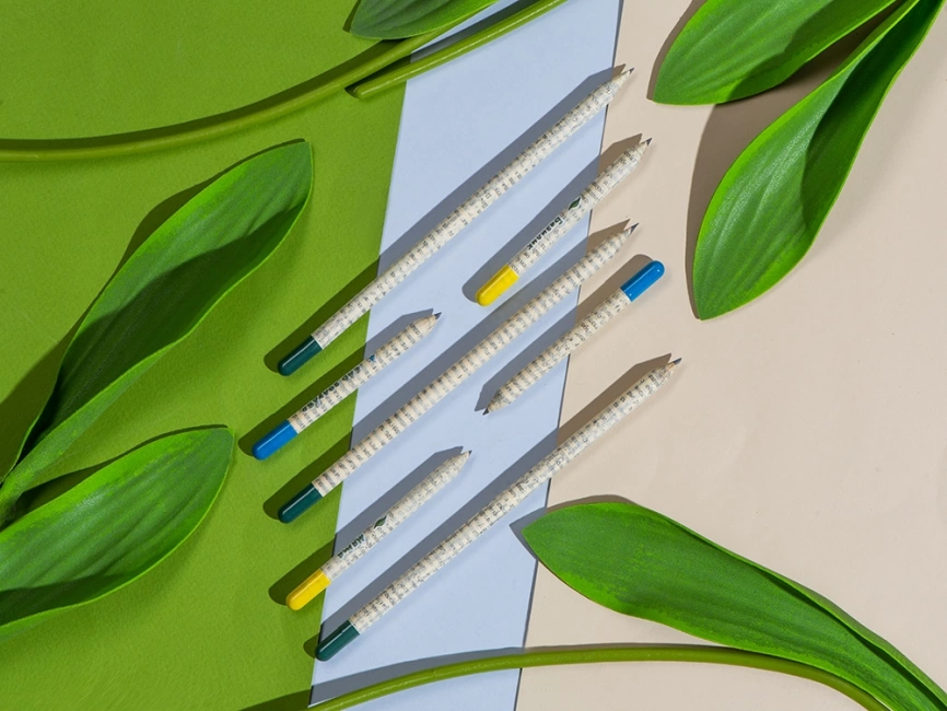Набор растущих карандашей mini, 2 шт с семенами голубой ели и сосны фото 6