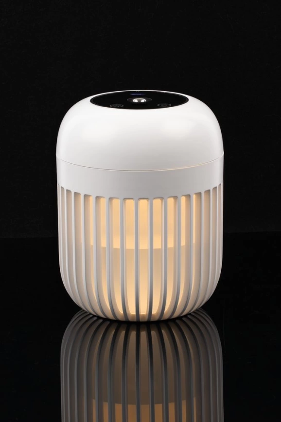 Переносной увлажнитель-ароматизатор с подсветкой PH11, белый фото 7