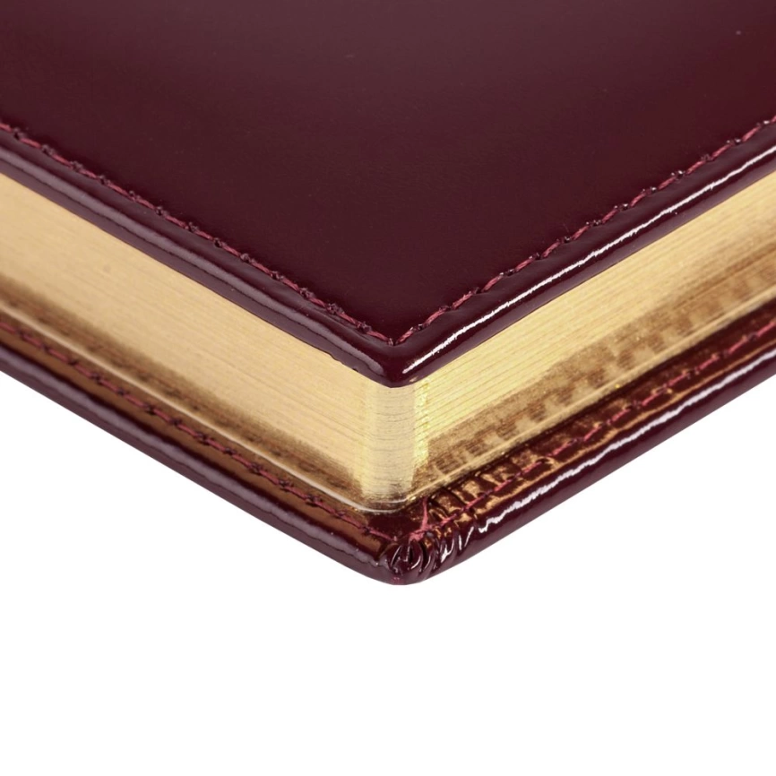 Ежедневник LUXE, недатированный, бордовый фото 6