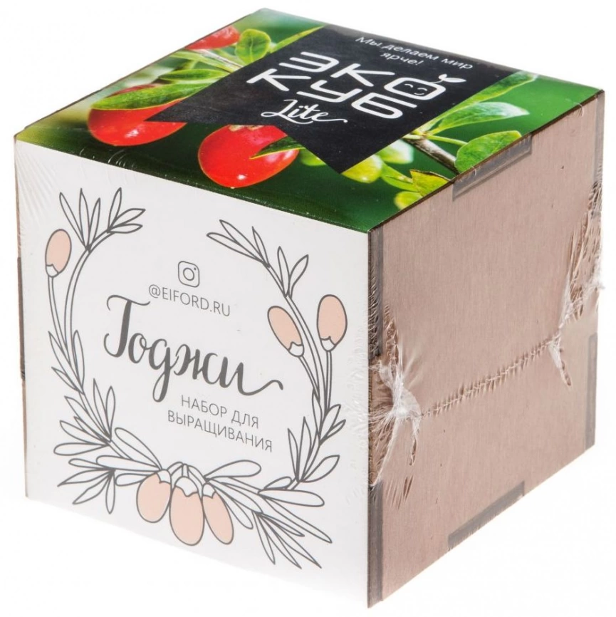 Набор для выращивания «Экокуб Lite», годжи фото 5