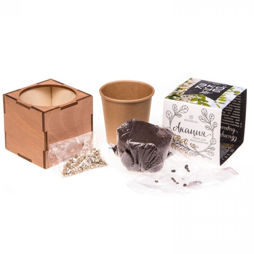 Набор для выращивания «Экокуб Lite», акация фото 4